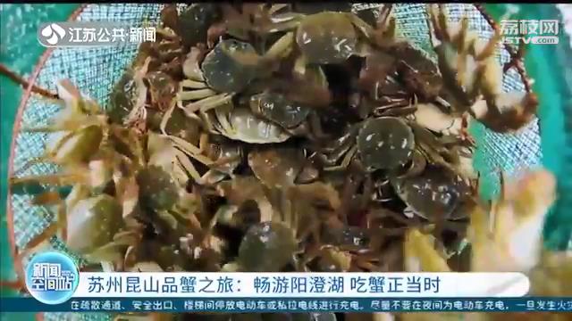 「坐高铁看中国」苏州昆山品蟹之旅：畅游阳澄湖 吃蟹正当时