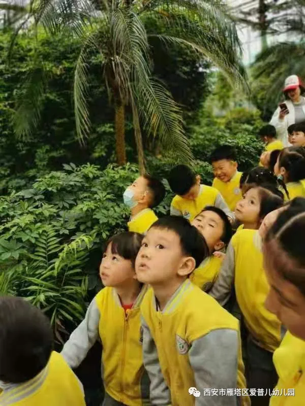 ����عˡ����ն��׶�԰�а�����ѧ��ʵ�߽���δ��