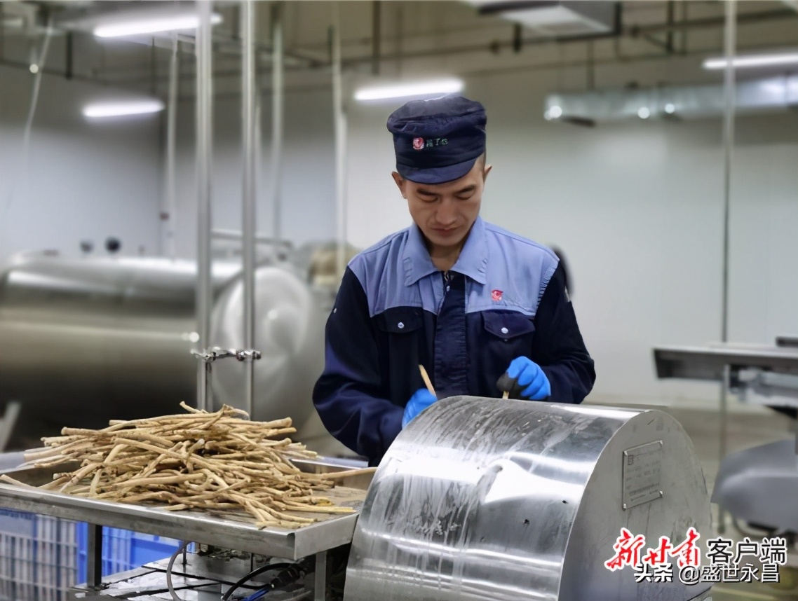 【全面建成小康社会“百城千县万村调研行”】陇西：开辟中医药产业发展新天地