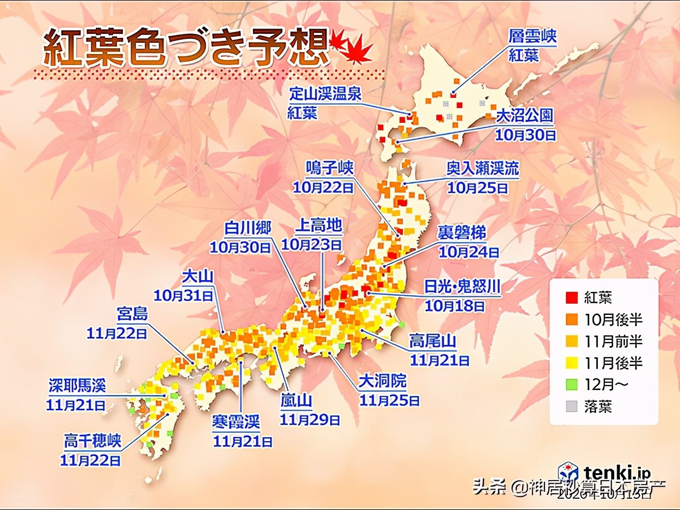 最令人期待的日本之秋，莫过于这一抹红