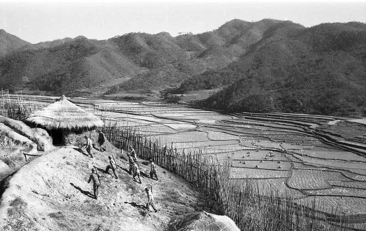 志愿军阵地被炸成火海，无奈搬出“没良心炮”，半个小时削平美军