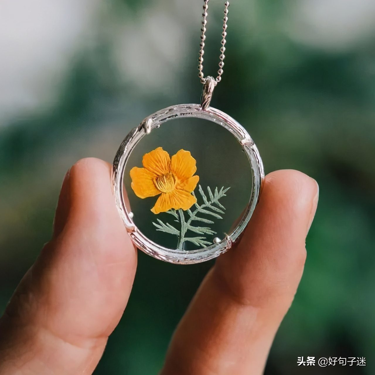 启迪心灵的人生感悟句子 读懂一半少吃亏