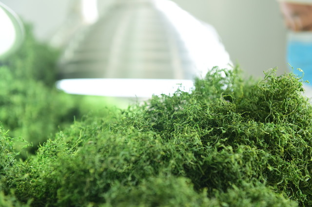 6种降血脂中成药的功效解读