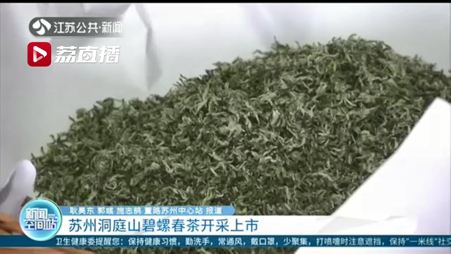 一杯明前碧螺春 品味江南好春光 苏州洞庭山碧螺春茶开采上市