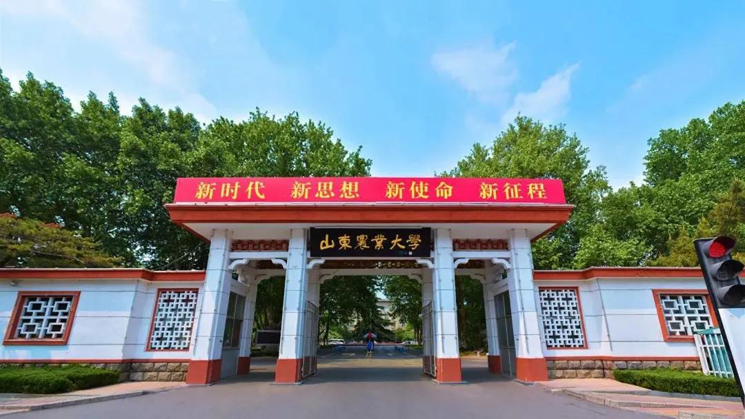 山东73所高校排名！“山东师大”进前5强，看前10强是哪所？