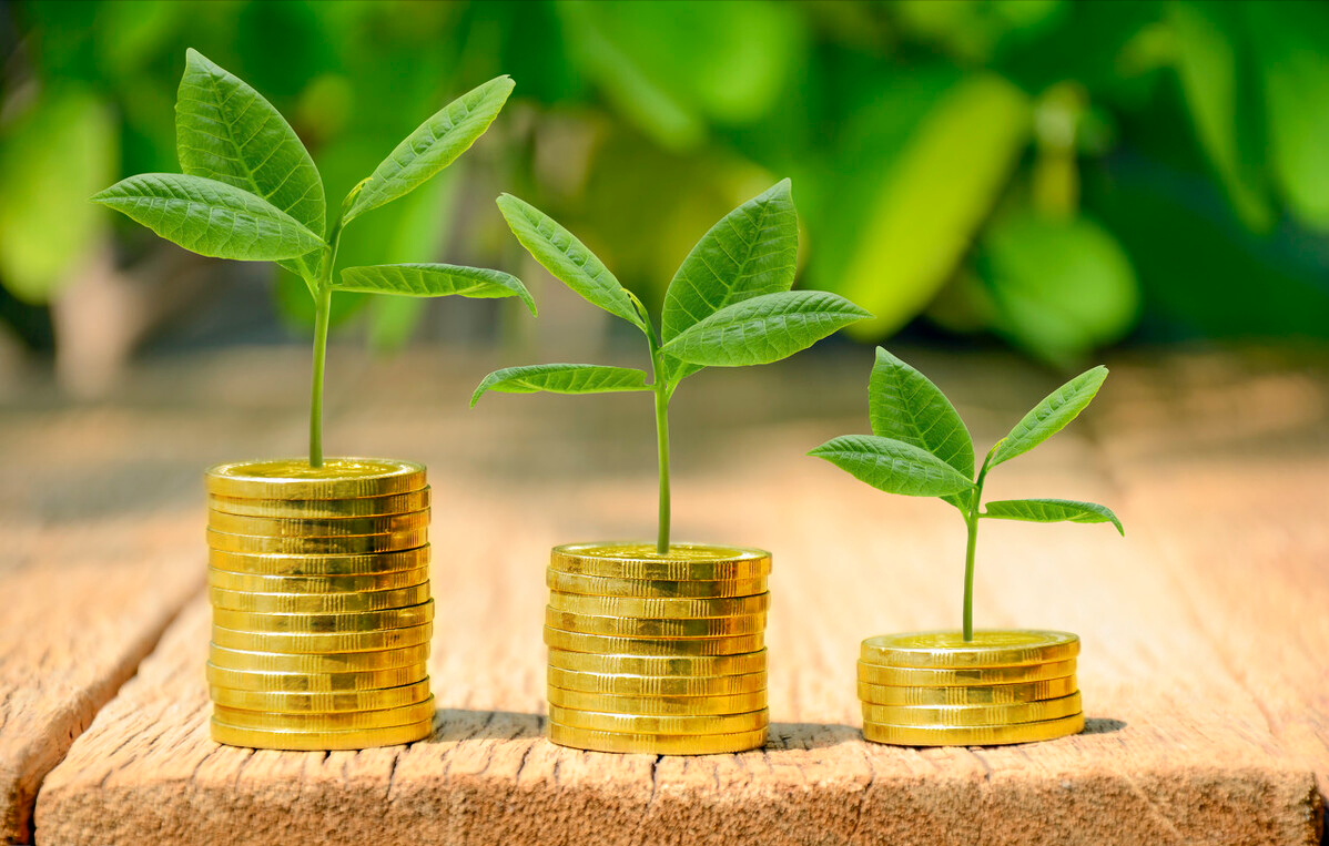 今日头条做了一星期，我到底赚了多少钱