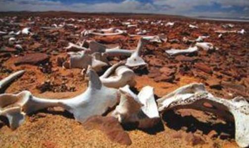 万祖之山昆仑山地狱之门的科学解密：有没有合理的科学解说？