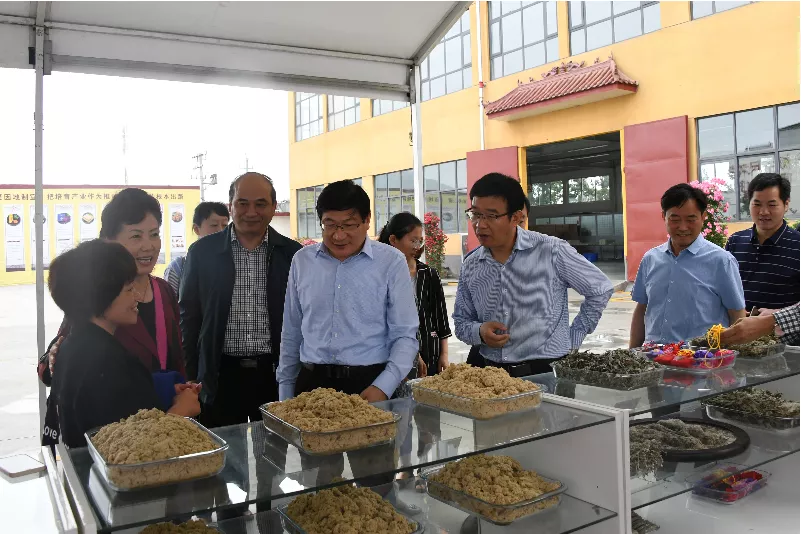 南阳师范学院校领导带队赴南阳医圣祠、月季博览园和药益宝艾草制品有限公司调研