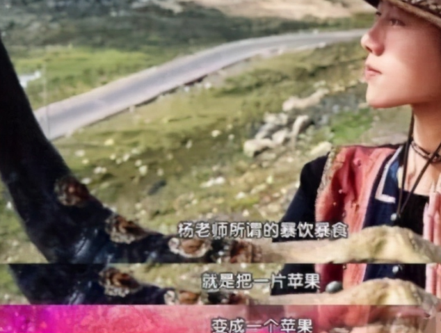 杨丽萍陪客拿空碗做样被批做作，20年不吃饭的她