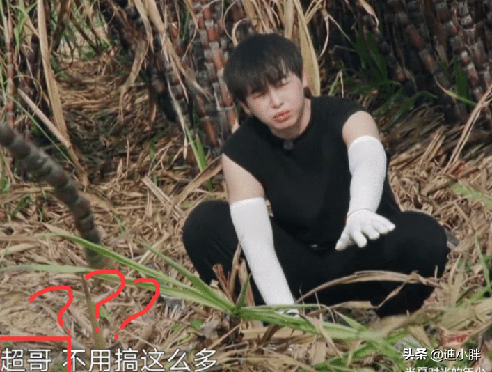 叫任嘉伦太陌生，叫哥哥太肉麻，有谁注意彭昱