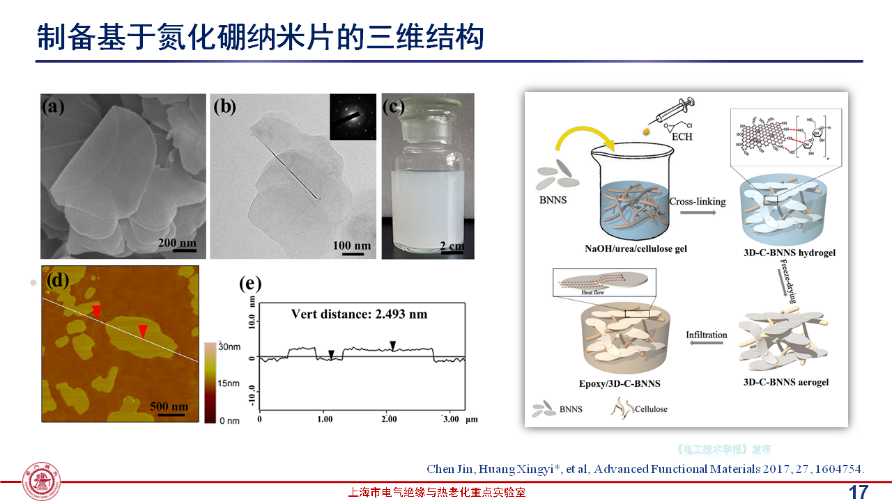 上海交通大學(xué)黃興溢教授：導(dǎo)熱絕緣復(fù)合電介質(zhì)中的界面設(shè)計與實證