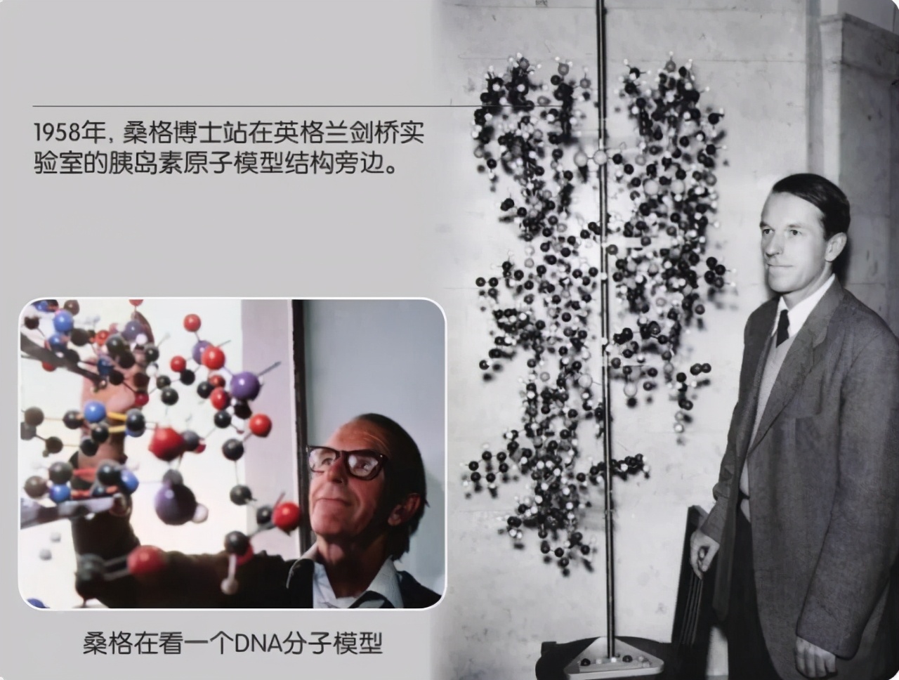 英國最牛啃老族：我家有錢，有船，還有兩座諾貝爾獎