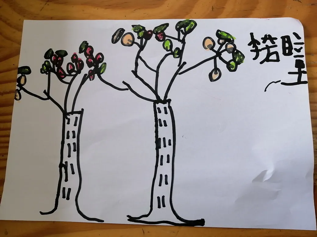 天府新区华阳幼儿园西区开展“幼儿园里的樱桃树”主题活动