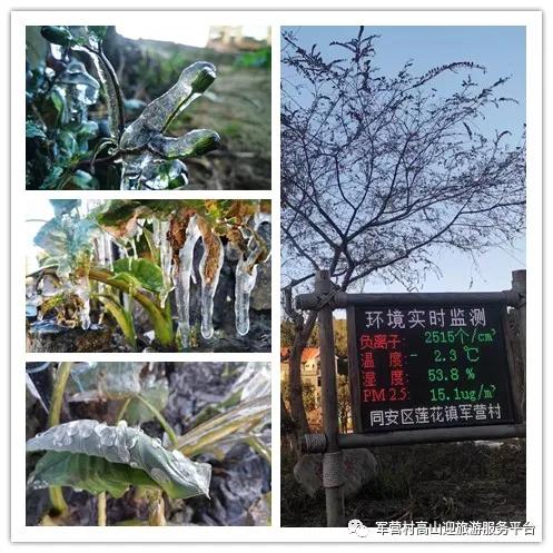 �Ѿ�����ˣ�����ѩ����Զ������Ӫ���һ���������Լ���ѩ��