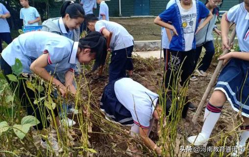 滑縣牛屯鎮(zhèn)中小學(xué)校慶祝農(nóng)民豐收節(jié)專題活動(圖12)