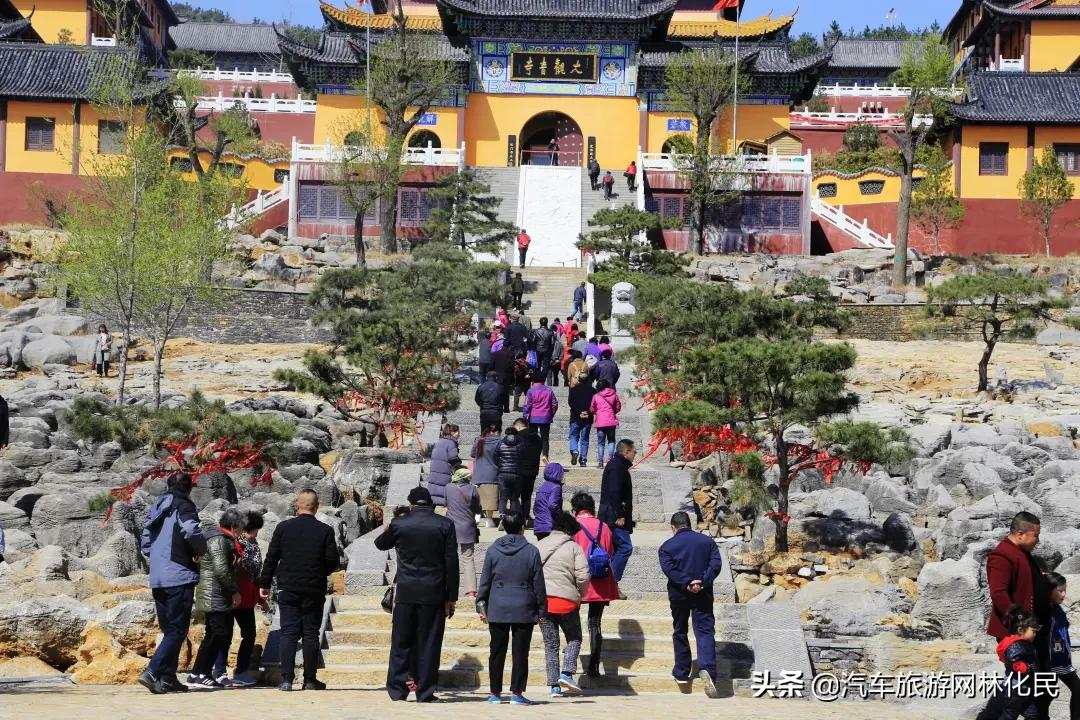 沂蒙马泉休闲园万亩樱桃花开,门票免费送啦