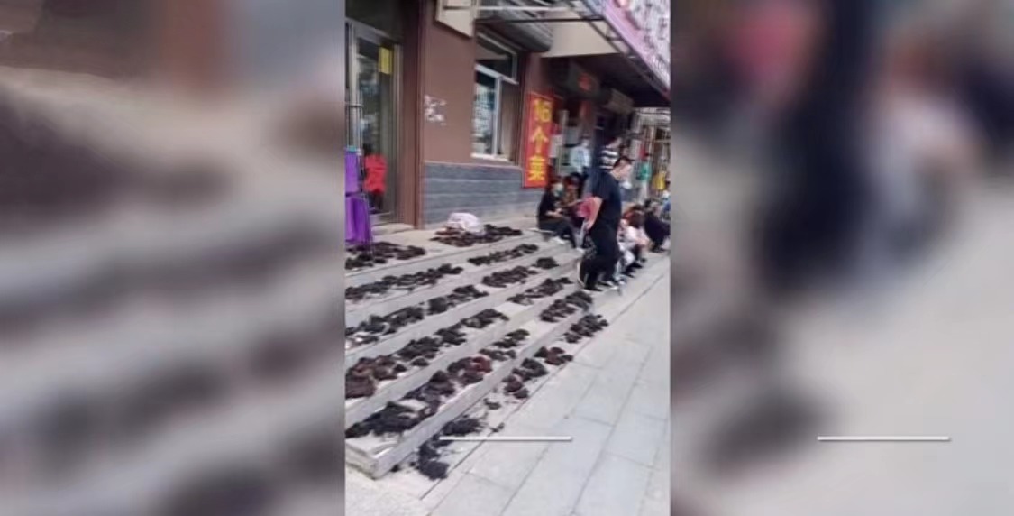 “他咋那么缺德呢？”高考学生看考场，校门口理发店台阶上晾头发：不让家长坐
