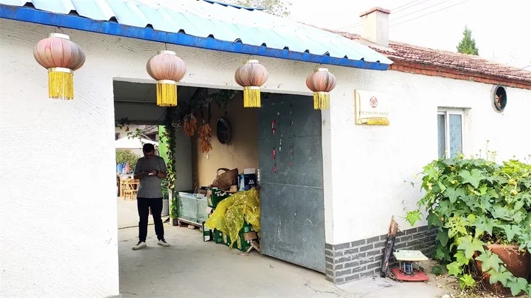 合肥竟然藏着一个“小世外桃源”!人少景美一眼就爱上!