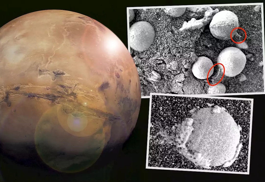 火星上發(fā)現(xiàn)“蘑菇”？專家：正在生長，或是火星生命