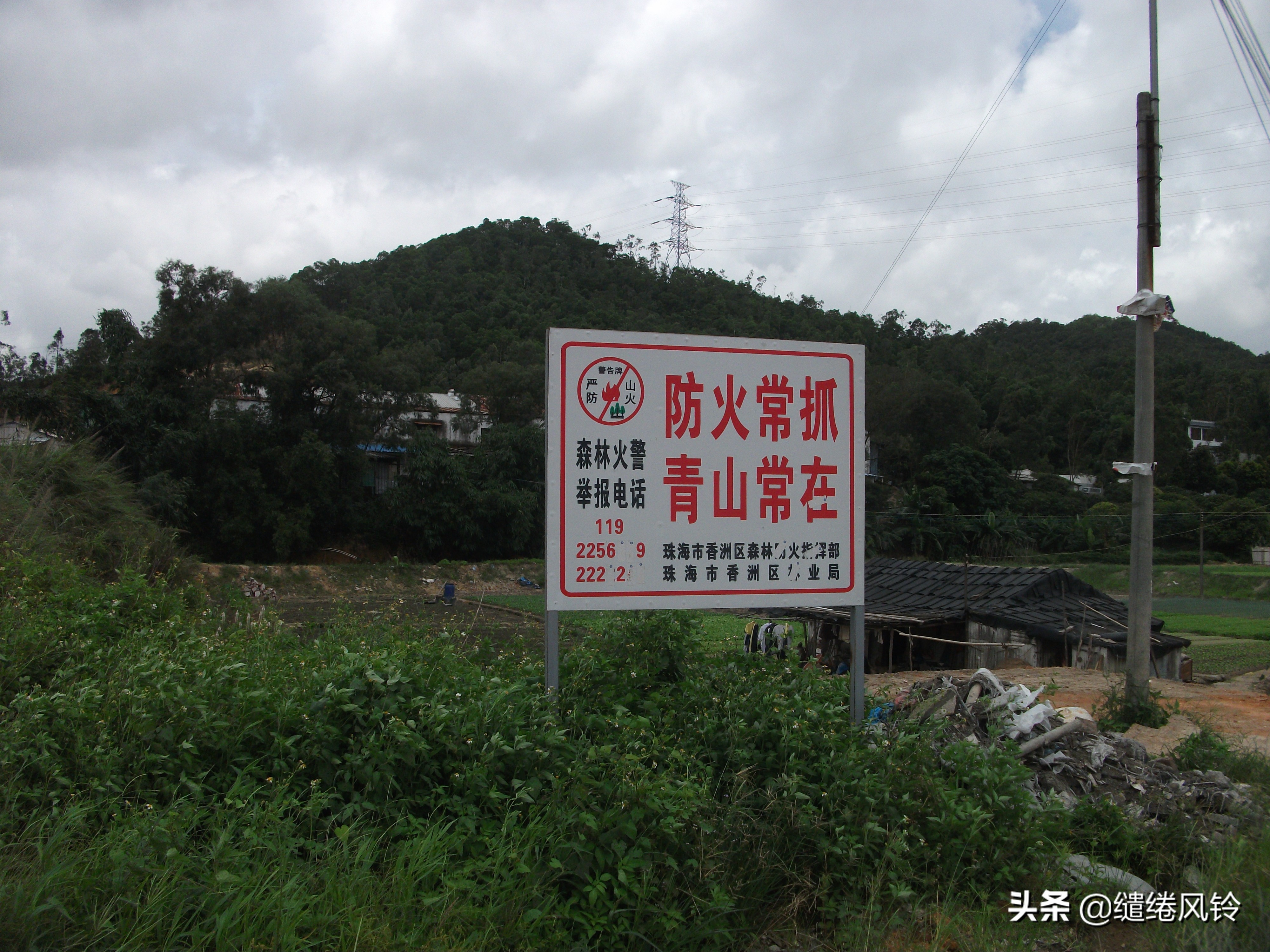 珠海界涌村：山藏古庙云藏树，揭秘清代初年“灵坟后蒙”显灵传闻