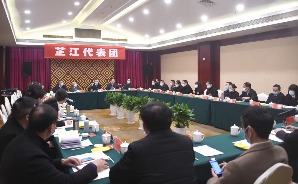【图片新闻】市五届人大五次会议各代表团举行分组讨论