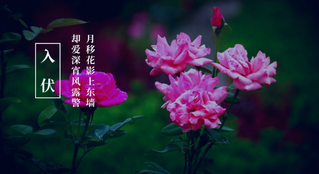 今夏入伏，你知道古人写了哪些有关三伏的诗？-第9张图片-非凡网