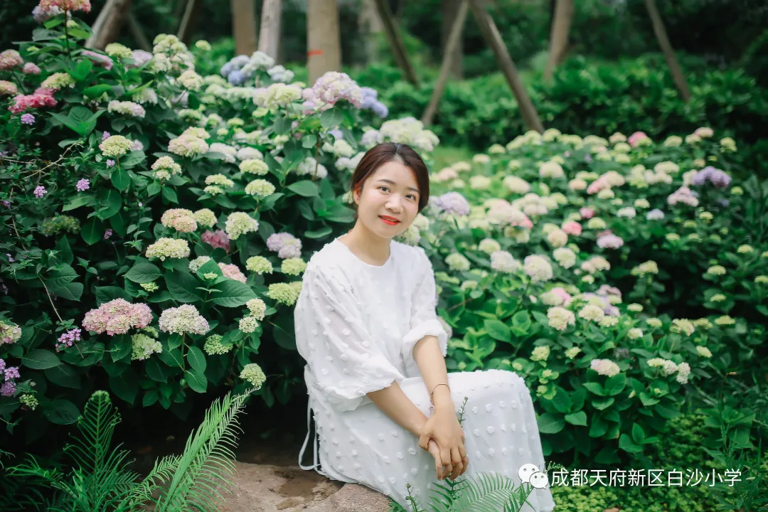 麓溪河畔 墨韵白小——天府新区白沙小学名优教师风采展示（五）