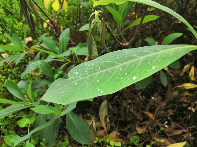 天上掉馅饼，我被砸中了
