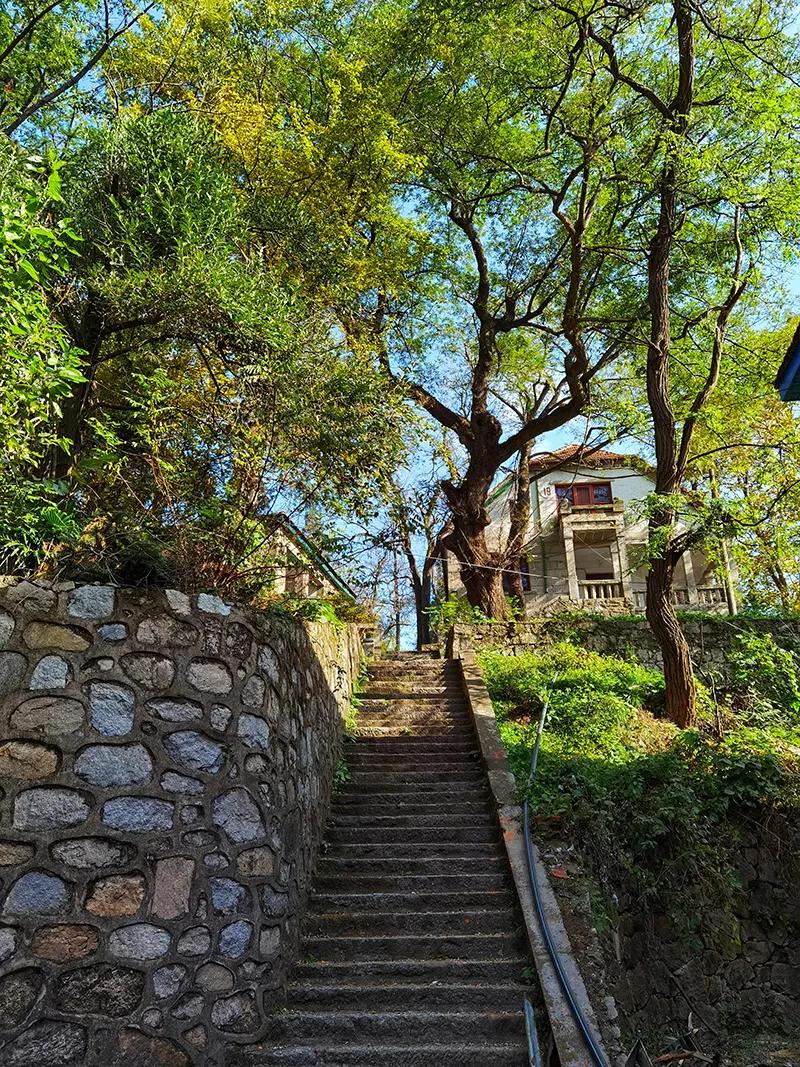 暑期旅游推荐地，人少景美还不热，吹的风都是凉的