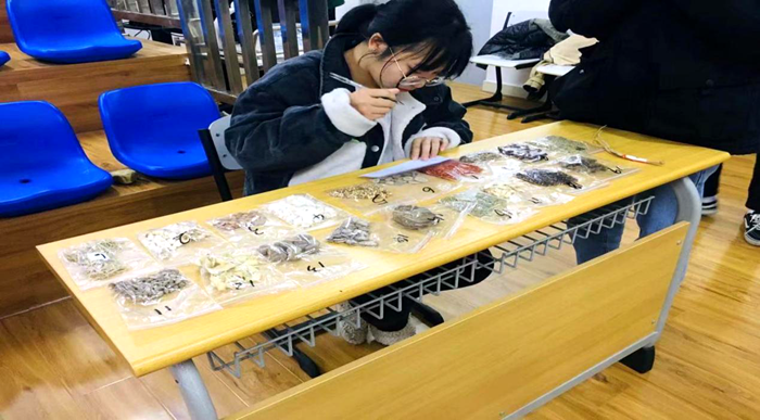 中医药传统技能大赛——以赛促学