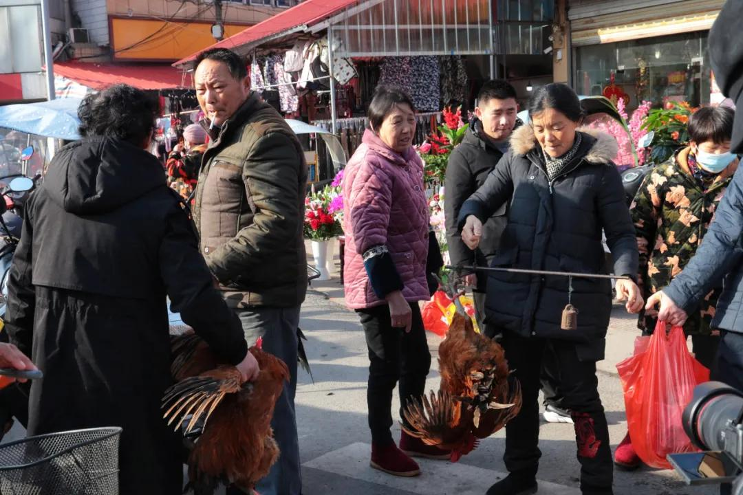 津门网张梅林:苏埠老街印象