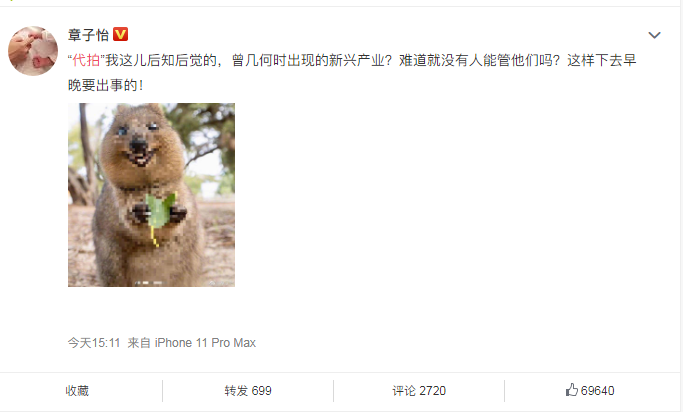 倪妮机场被撞倒，章子怡发文怒斥代拍者，他们会拍裙底和制造意外