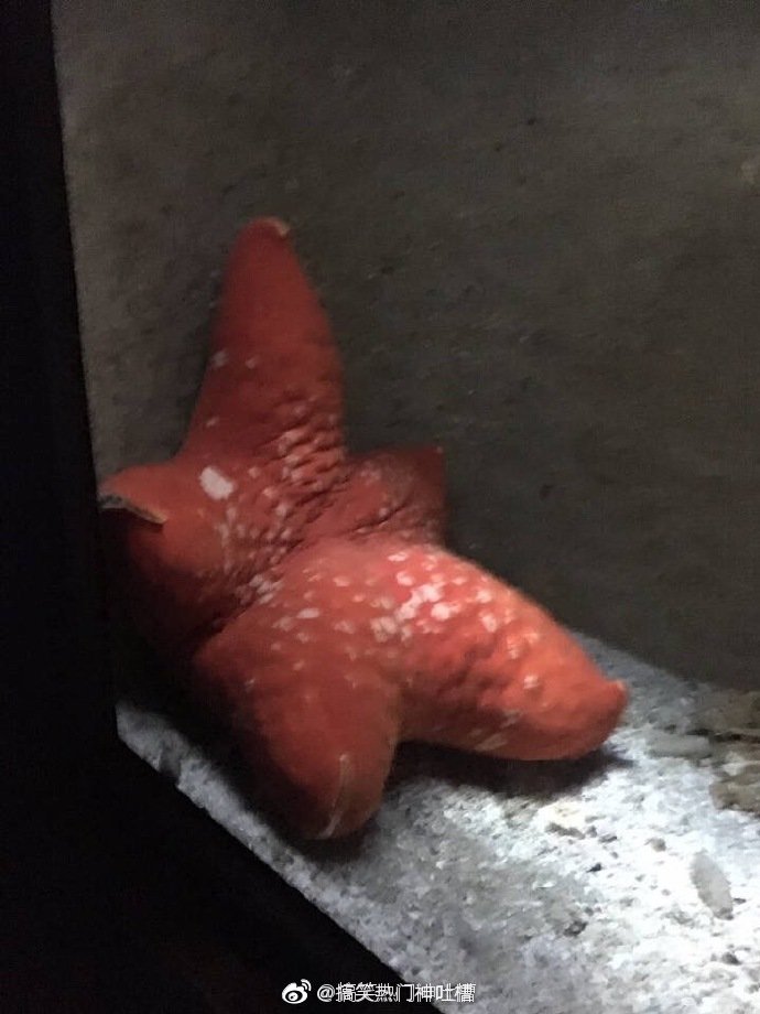 Send the sitting position form of big star, it is true Hahaha so