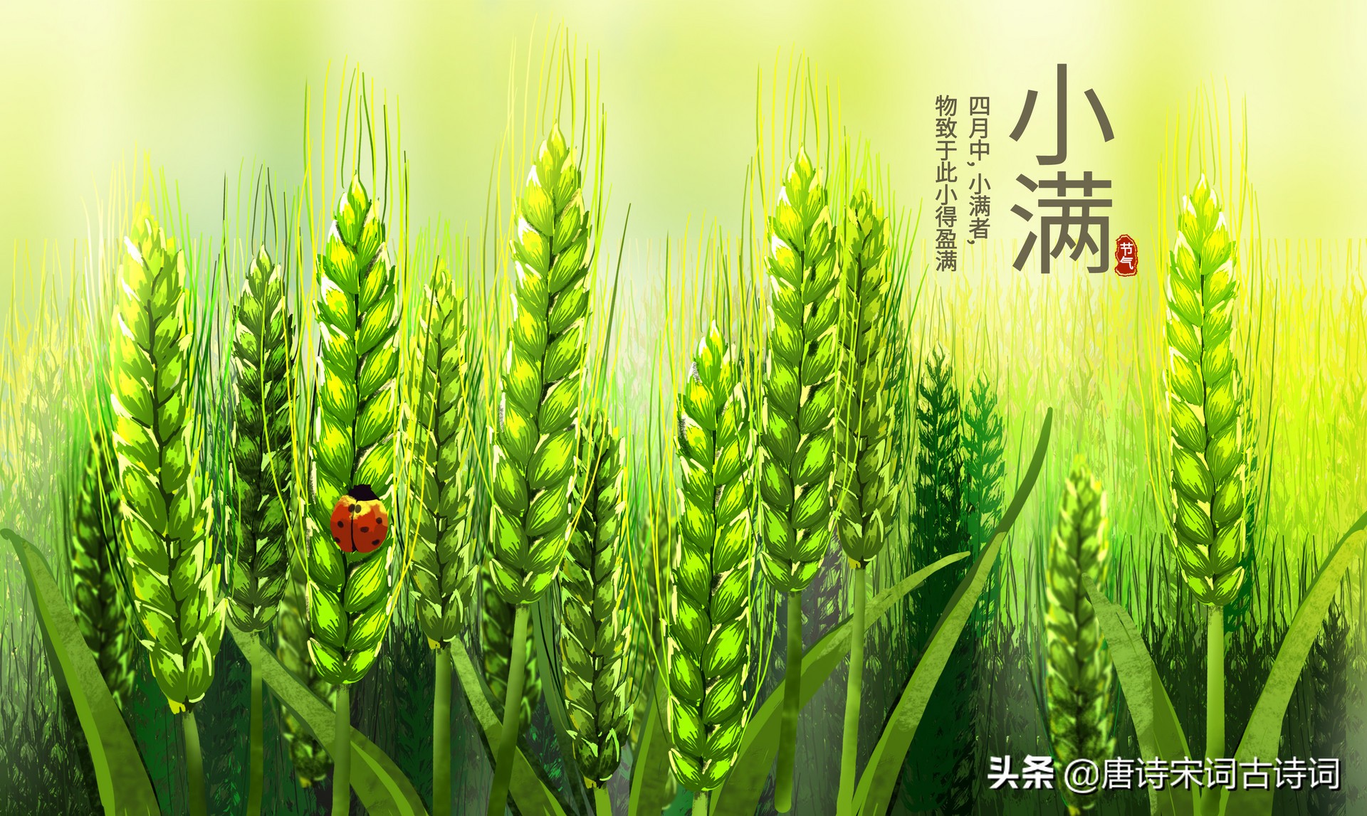 小满节气来了，赏析清代王泰偕的《吴门竹枝词四首·其四·小满》-第3张图片-非凡网