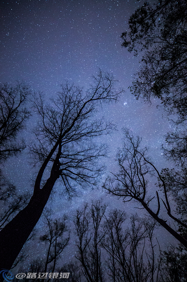 无敌的国产手机摄像头
