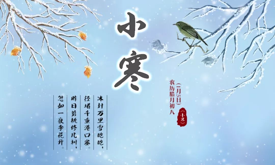 今日小寒｜小寒已至，愿你天寒人不寒
