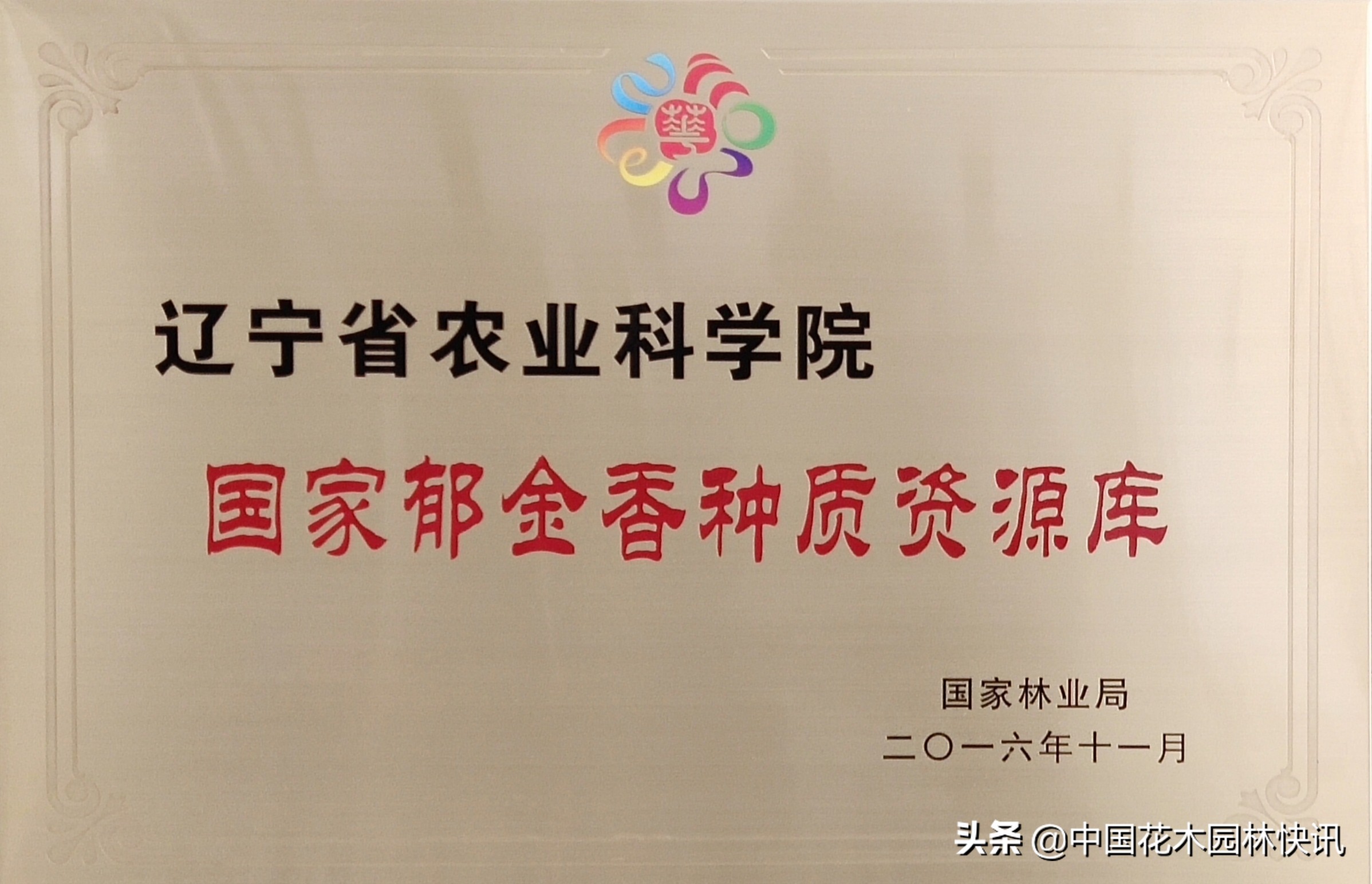 全国郁金香种质资源创新利用与产业化高峰论坛下月在辽宁召开