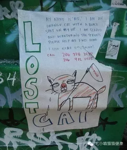 我收集的这些寻猫启示脑洞太大了,我就想问,你画的是什么?