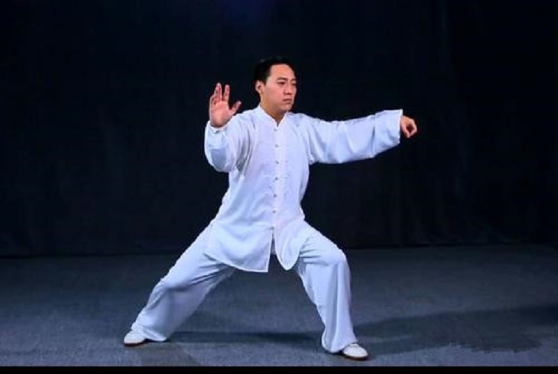 大内神鹰李瑞东：贯通武学创造杨氏太极拳，5