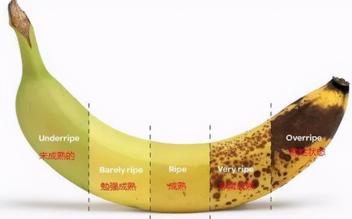 图片[4]-挑香蕉技巧 “金黄”好还“长黑点”好-起舞食谱网