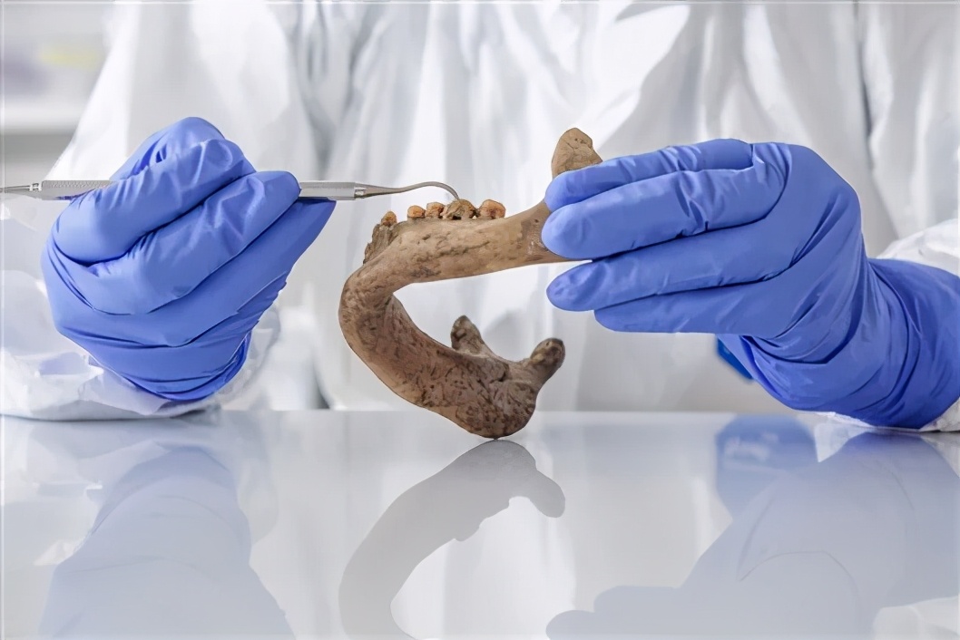 你的嘴裏藏著人類進化史