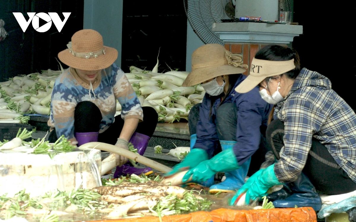 越南大批瓜果烂在地里，甚至因卖不出去被倒进河里，菜农欲哭无泪