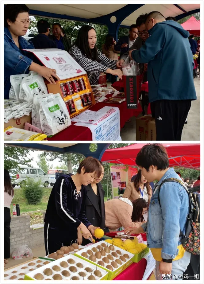 消费扶贫、电商助力、‘苹’稳增收，第二届岐山县苹果节举办