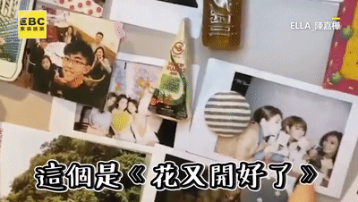 Ella直播大方晒自家,最没豪宅样却最让人心动