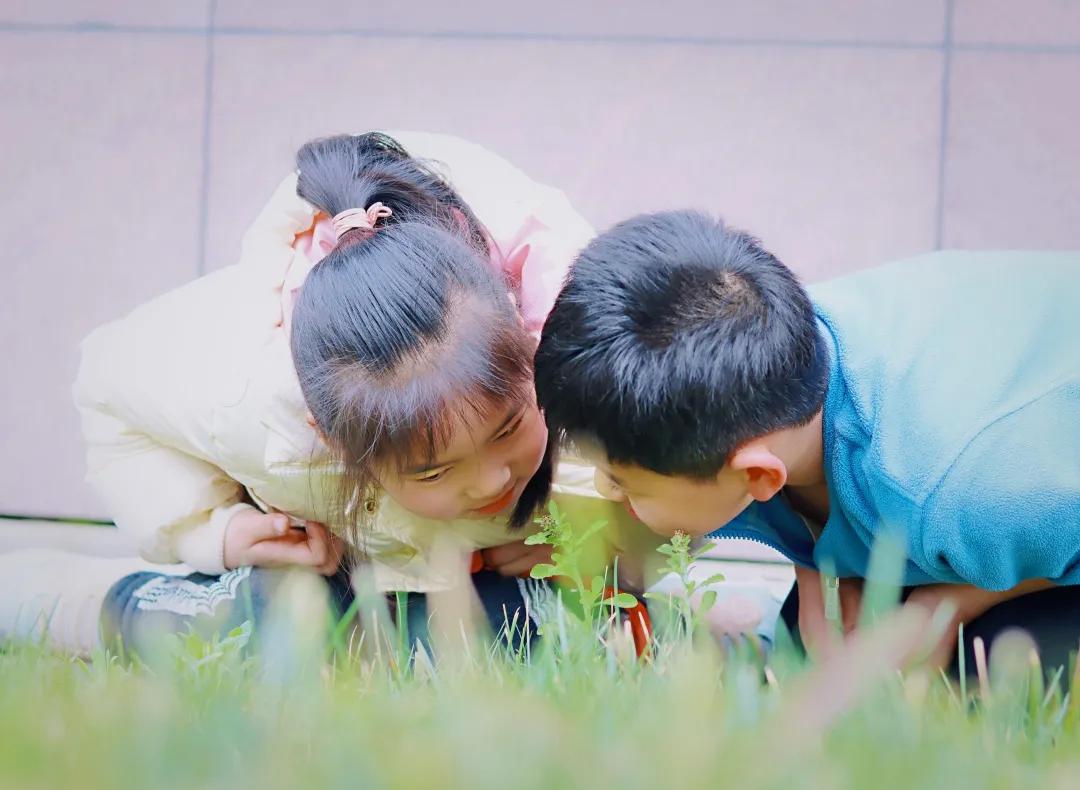 带上五官到校园里寻找春天——成都市华中附小大自然的语文课