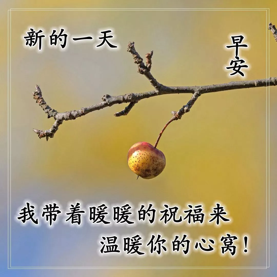早上的问候图片带上精美的祝福语图片