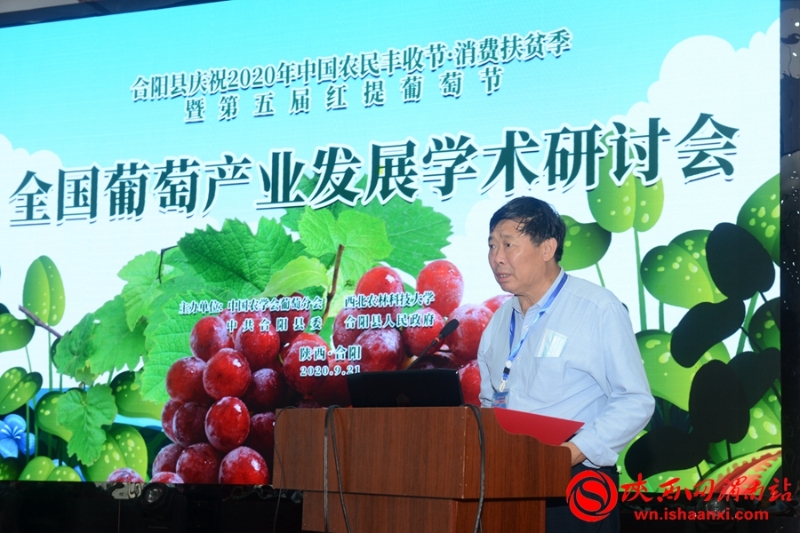 2020年全國葡萄產(chǎn)業(yè)發(fā)展學(xué)術(shù)研討會在合陽舉辦(組圖)