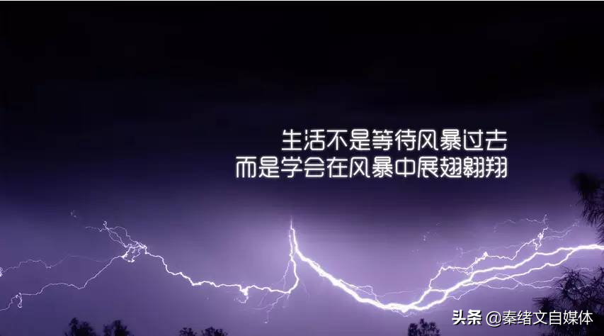 秦绪文：遇到对的人，你会懂得，原来自己也值得被好好爱