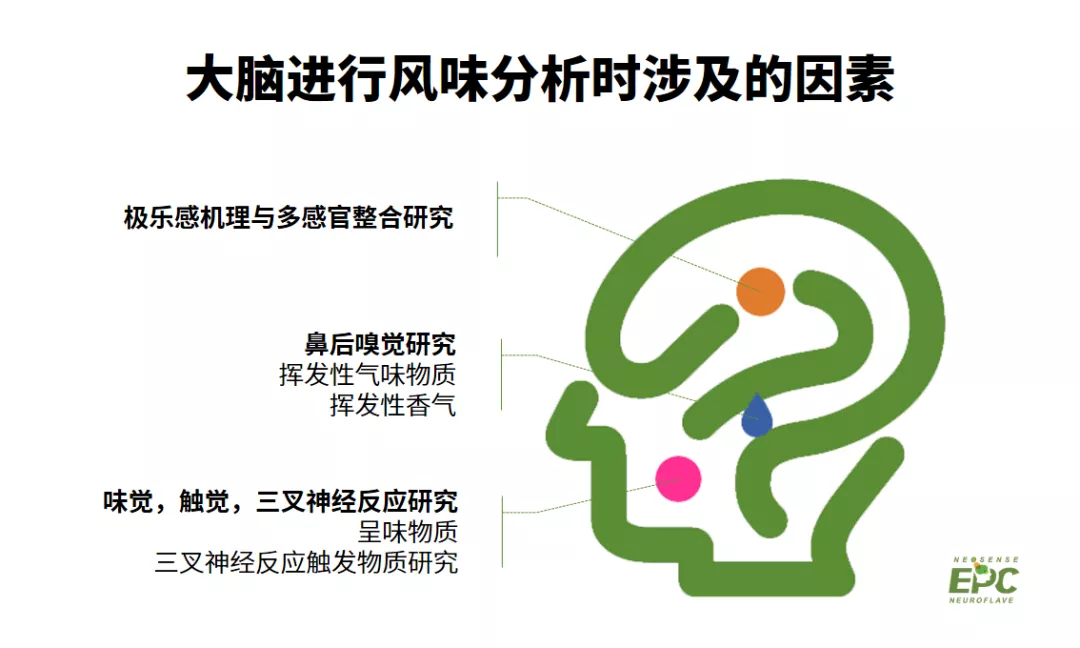 “闻”香知甜，甜更浓！神经风味科学掀起减糖新风暴