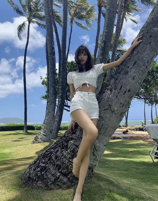 浙江卫视招商会，综艺《漫游记》拟邀Lisa，又再拿Lisa溜粉了？